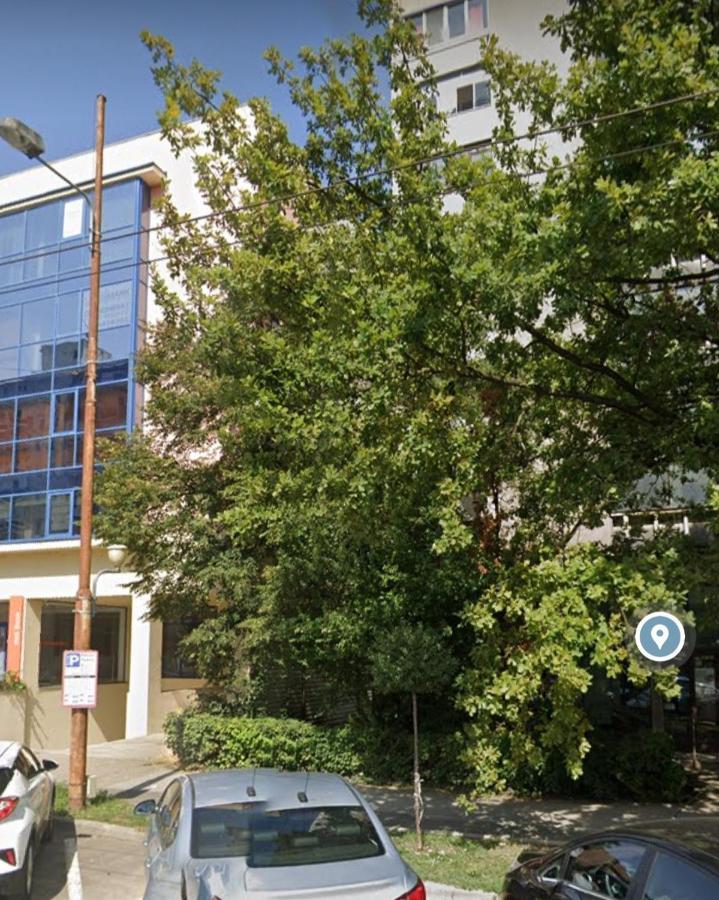 David'S Studio Timişoara Exteriör bild